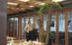 Blue Mountains Deluxe Small-Group Eco Wildlife Tour From Sydney - thumb 15
