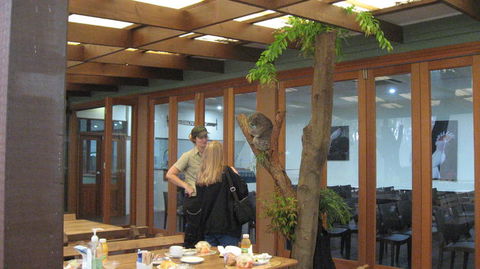 Blue Mountains Deluxe Small-Group Eco Wildlife Tour From Sydney - Accommodation NSW 15