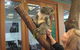 Blue Mountains Deluxe Small-Group Eco Wildlife Tour From Sydney - thumb 14