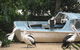 Blue Mountains Deluxe Small-Group Eco Wildlife Tour From Sydney - thumb 12