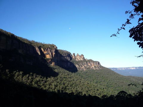 Blue Mountains Deluxe Small-Group Eco Wildlife Tour From Sydney - Accommodation NSW 22