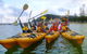 Half-Day Sydney Middle Harbour Guided Kayaking Eco Tour - thumb 7