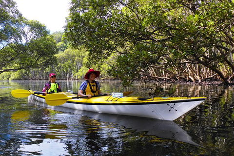 Half-Day Sydney Middle Harbour Guided Kayaking Eco Tour - Accommodation NSW 10