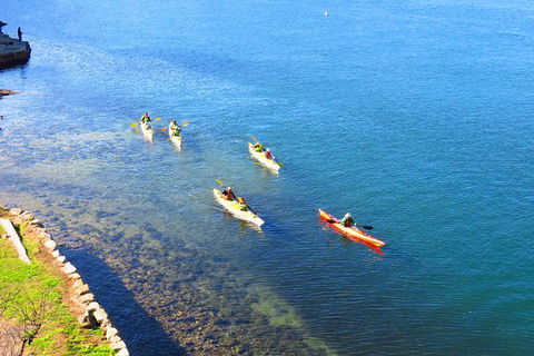 Half-Day Sydney Middle Harbour Guided Kayaking Eco Tour - Accommodation NSW 8