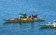 Half-Day Sydney Middle Harbour Guided Kayaking Eco Tour - thumb 3