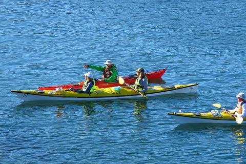 Half-Day Sydney Middle Harbour Guided Kayaking Eco Tour - Accommodation NSW 3