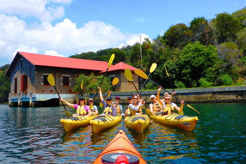 Half-Day Sydney Middle Harbour Guided Kayaking Eco Tour - Accommodation NSW 4