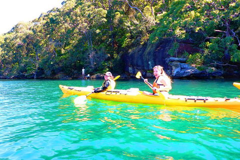 Half-Day Sydney Middle Harbour Guided Kayaking Eco Tour - Accommodation NSW 9