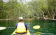 Half-Day Sydney Middle Harbour Guided Kayaking Eco Tour - thumb 2