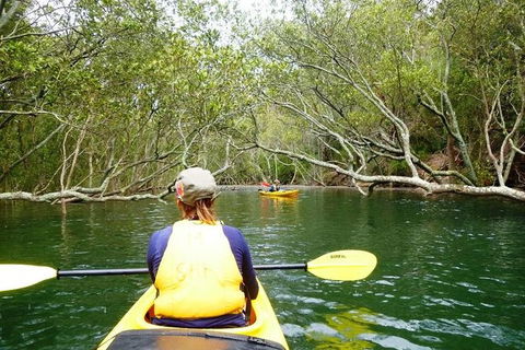Half-Day Sydney Middle Harbour Guided Kayaking Eco Tour - Accommodation NSW 2