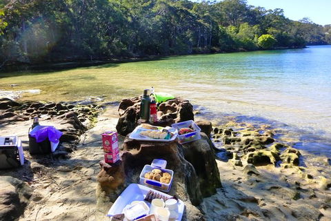 Half-Day Sydney Middle Harbour Guided Kayaking Eco Tour - Accommodation NSW 6
