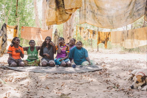 Anindilyakwa Arts, Groote Eylandt - Accommodation NSW 0