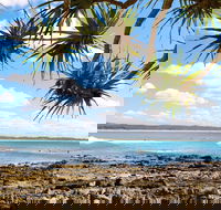 Arrawarra-Corindi Beach - Accommodation NSW