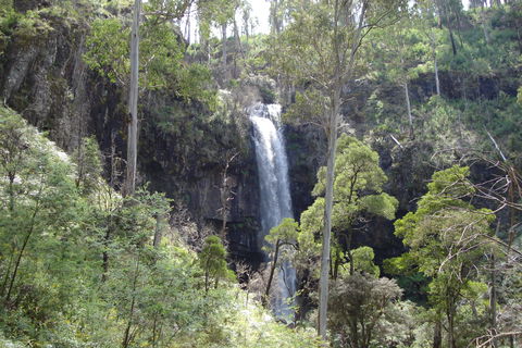 Bindaree Falls - Accommodation NSW 0