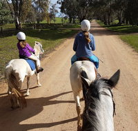 Bits and Boots Pony Rides - Accommodation NSW