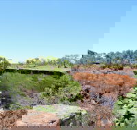 Bladensburg National Park - Accommodation NSW