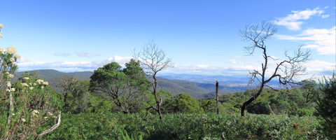 Blue Range Camping And Picnic Area - Accommodation NSW 0