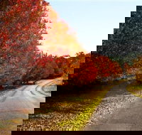 Charles Sturt University Winery - Accommodation NSW