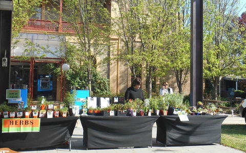 Clare Show Market - Accommodation NSW 0