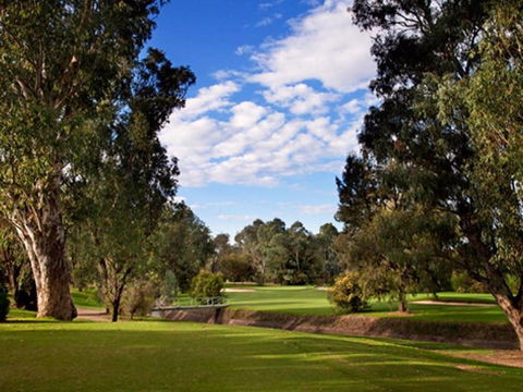 Commercial Golf Course - Accommodation NSW 0