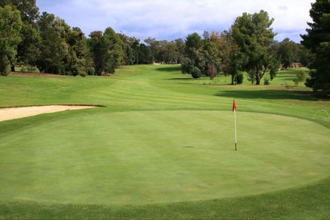 Commercial Golf Course - Accommodation NSW 1