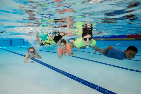 East Maitland Aquatic Centre - Accommodation NSW 1