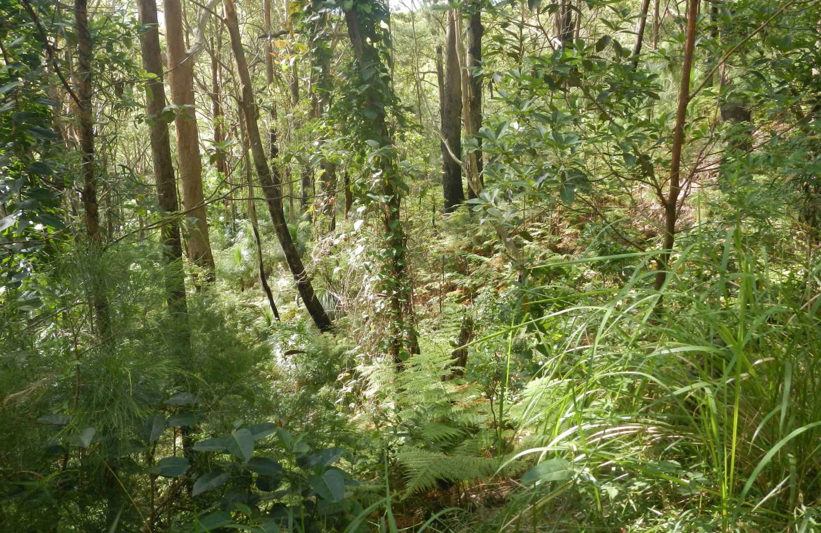 Arakoon NSW Accommodation NSW