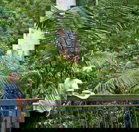Grandis Picnic Area