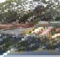 Green Corridor Walking Track - Accommodation NSW