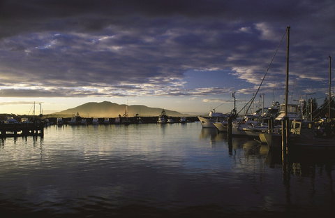 Gulaga National Park - Accommodation NSW 1