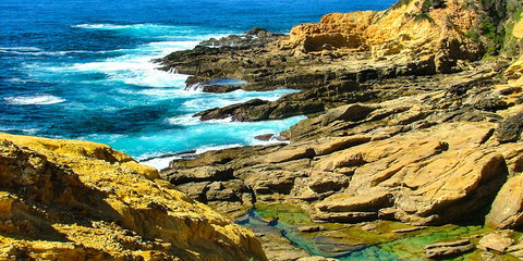 Gumnut Hideaway Gallery - Accommodation NSW 2