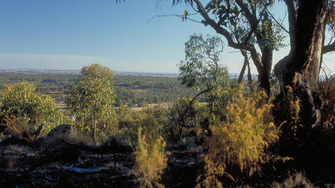 Heathcote-Graytown National Park - Accommodation NSW 0