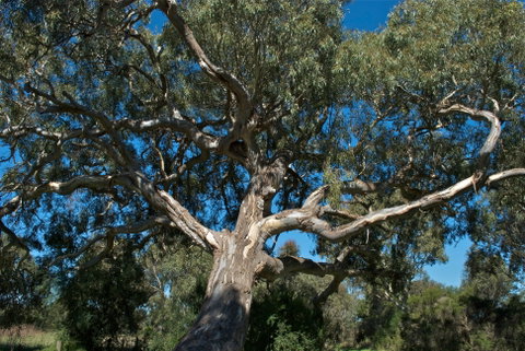 Holey Plains State Park - Accommodation NSW 0