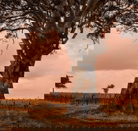 Hynam - Accommodation NSW