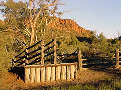 Illamurta Springs Conservation Reserve - Accommodation NSW 0