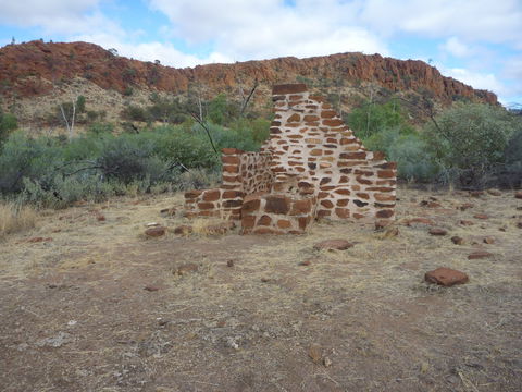 Illamurta Springs Conservation Reserve - Accommodation NSW 1