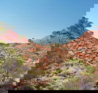 Lark Quarry Conservation Park - Accommodation NSW