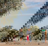 Marrambidya Wetland - Accommodation NSW