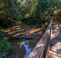 Ms Kellys Walking Track - Accommodation NSW