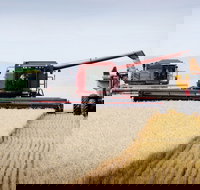 Mullaley - Accommodation NSW