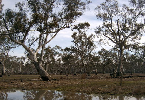 Murchison Rail Trail - Accommodation NSW 1