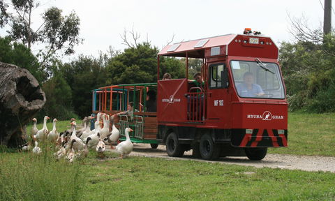 Myuna Farm - Accommodation NSW 2