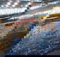 Oasis Regional Aquatic Centre - Accommodation NSW