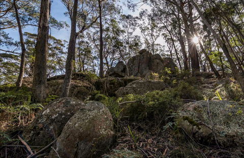 Pheasants Peak Walking Track - Accommodation NSW 0