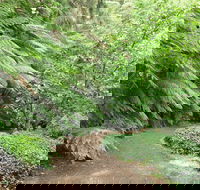 Pirianda Gardens - Accommodation NSW