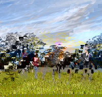 Port Macquarie Horse Riding Centre - Accommodation NSW