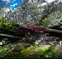 Puffing Billy Railway - Accommodation NSW
