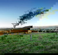 Ravensbourne National Park - Accommodation NSW