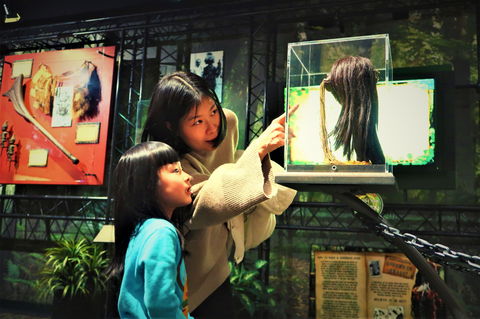 Ripleys Believe It Or Not! Odditorium - Accommodation NSW 2
