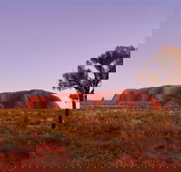 Sunrise Viewing Area Talinguru Nyakunytjaku - Accommodation NSW